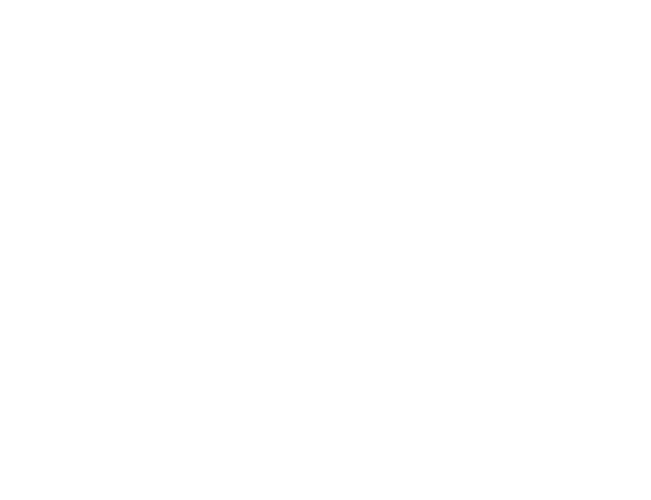 PARTNERS By Timón